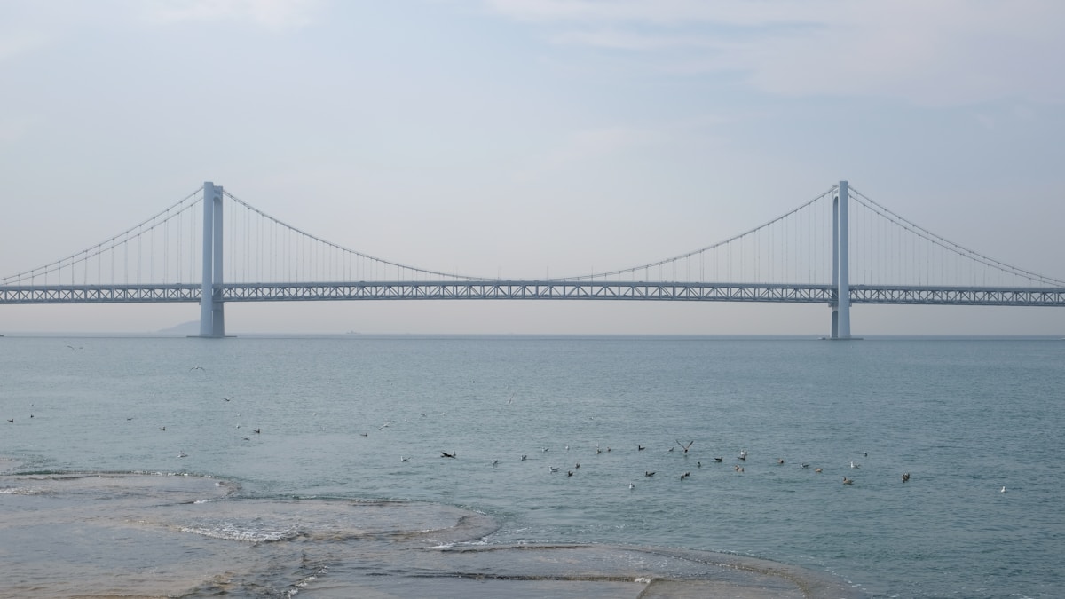大連の跨海大橋と海峡の絶景